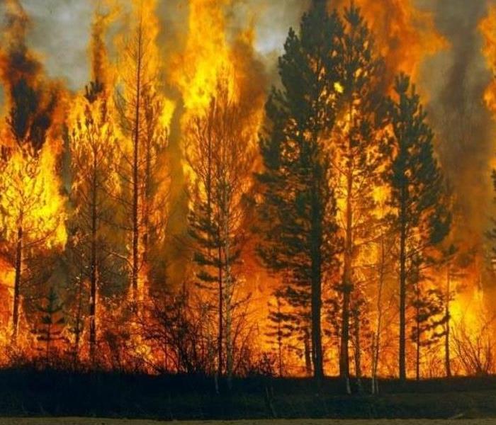 The image shows a large forest fire.