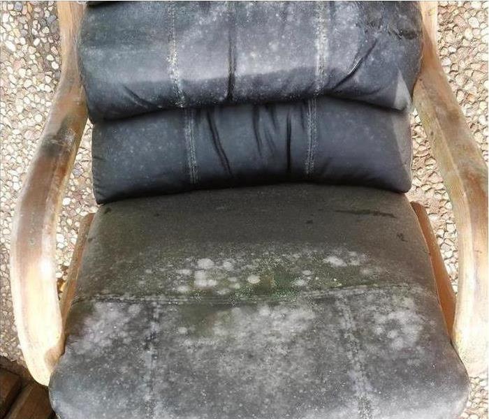 The image shows how quickly mold formed on a customers chair after it was exposed to water.