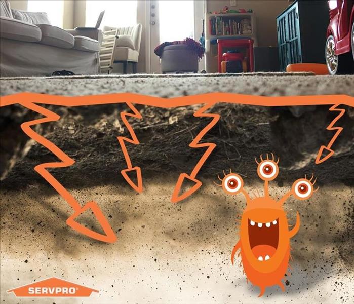 This image shows the dirt that hides underneath the surface of carpets