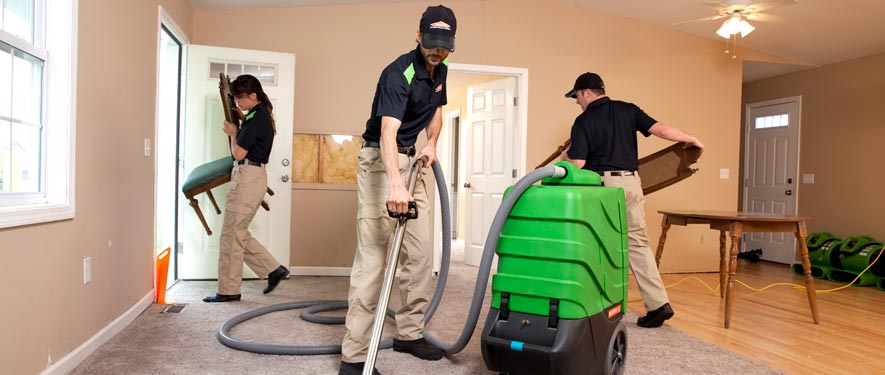 Port Huron, MI cleaning services